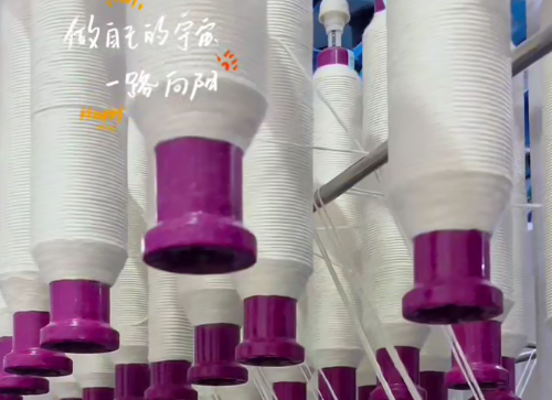 做自己的宇宙，一路向阳