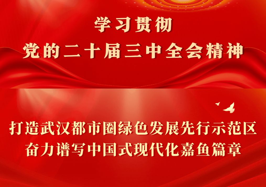 【聚力建支点  夺取开门红】武汉汉麻生物：一根麻杆“72变”