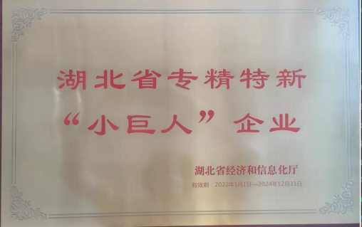 湖北省专精“小巨人”企业