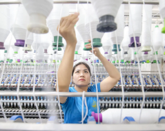 2025年一季度纺织实现平稳开局