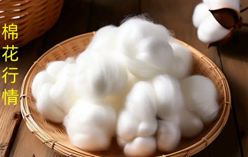 2025年9月新旧棉交替 棉花价格承压 后市走势分析