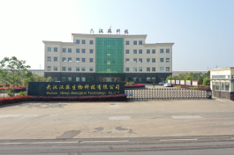 策马扬鞭 开工大吉