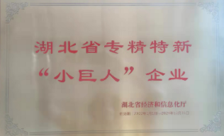 湖北省专精特新小巨人